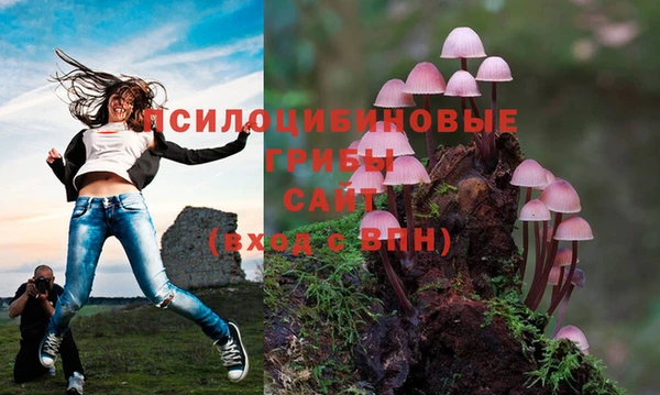 не бодяженный Наволоки