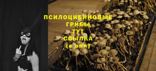 ГАЛЛЮЦИНОГЕННЫЕ ГРИБЫ Навашино