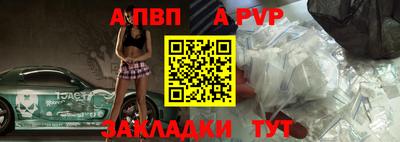 скорость Кингисепп