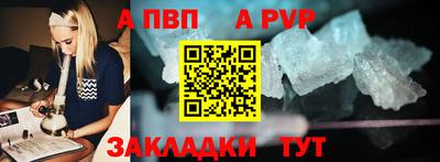 скорость Кингисепп